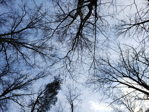 kellyx3819 header picture leakfans.com