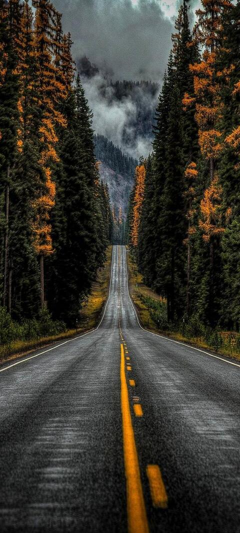 kelsdollxox header picture leakfans.com