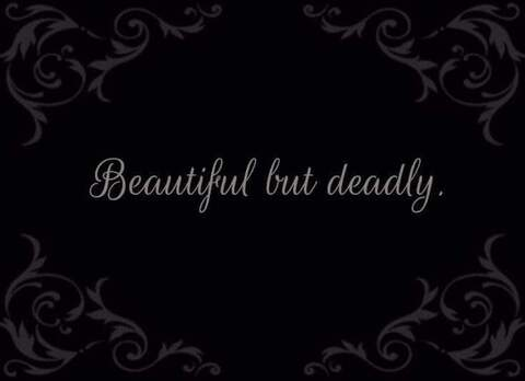 kelzd header picture leakfans.com