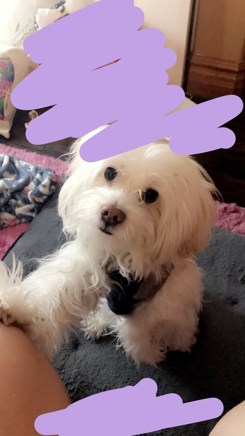 kenziecx091 header picture leakfans.com