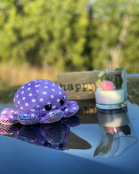 kiefferkat header picture leakfans.com