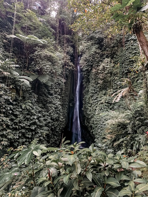 kiinkdao header picture leakfans.com