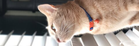 kikssaroo header picture leakfans.com