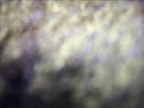 kimiii header picture leakfans.com