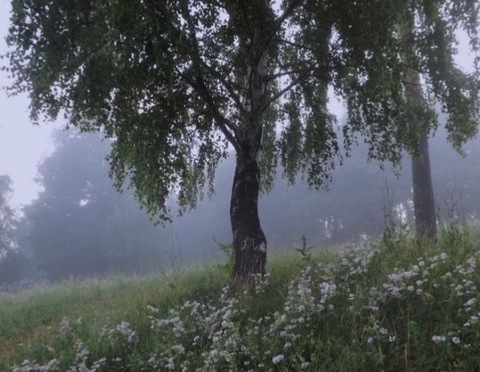 kimmyluv888 header picture leakfans.com