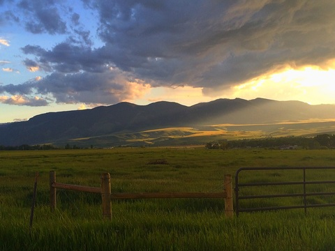 king_jax_sog header picture leakfans.com