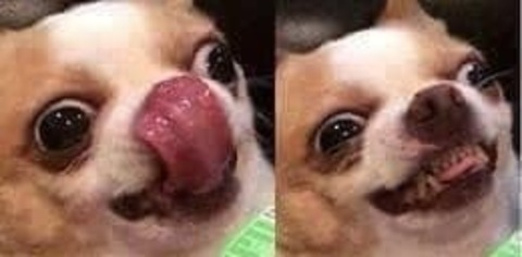 kingdomcosplay header picture leakfans.com