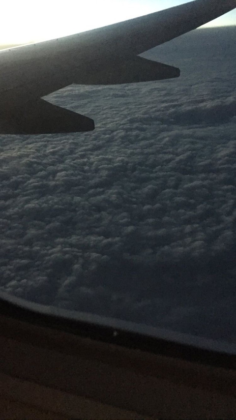 kingjorel header picture leakfans.com