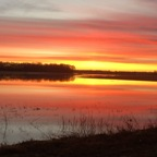 kingofthesouth94 profile picture leakfans.com