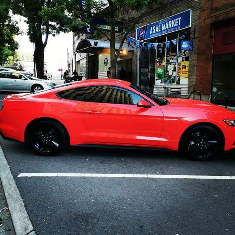 kingreignz header picture leakfans.com