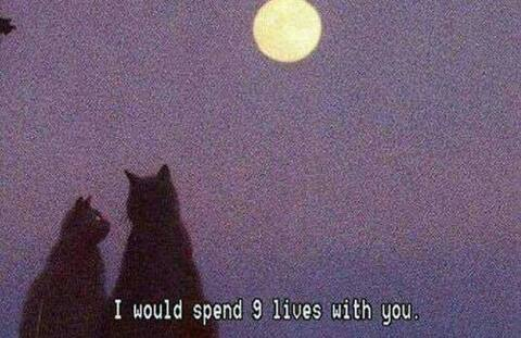 kinkwitch header picture leakfans.com