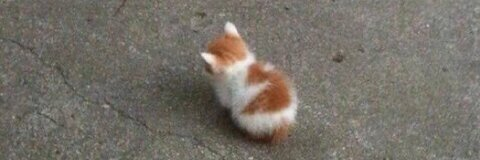 kinkygff header picture leakfans.com