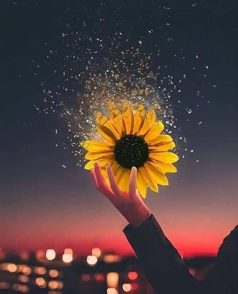 kinsby header picture leakfans.com