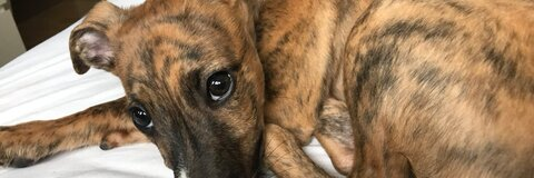 kirstymcdonaldd header picture leakfans.com