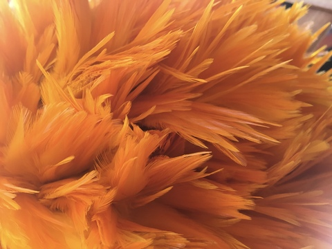 kit_provocateur header picture leakfans.com