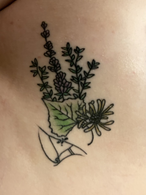 kitacat20 header picture leakfans.com