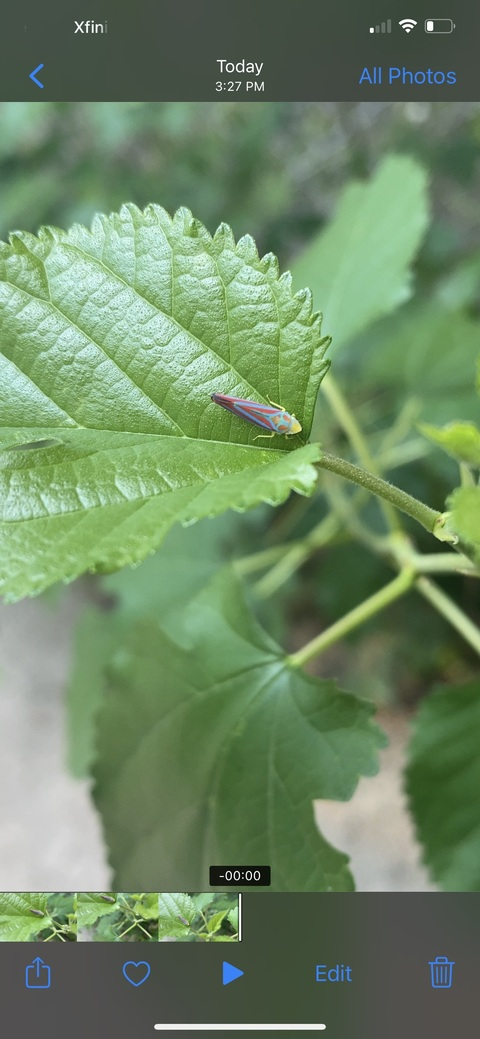 kitsunekitty777 header picture leakfans.com