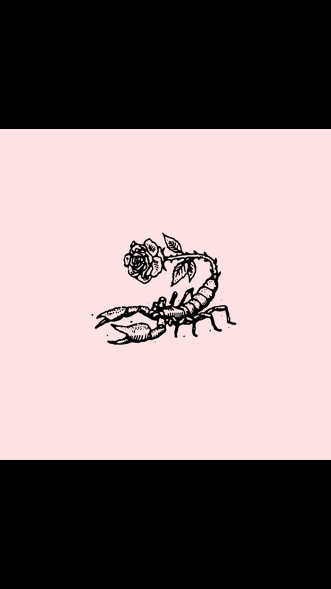 kittenymph header picture leakfans.com