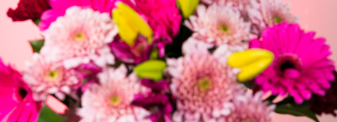 kitty_kat98 header picture leakfans.com