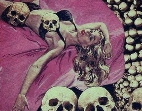 kittyaliana header picture leakfans.com