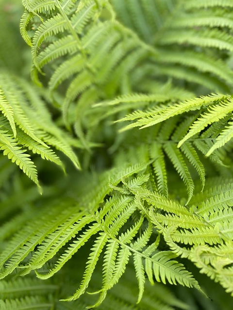 kittycatqueen header picture leakfans.com