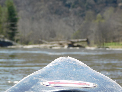 kittykat1798 header picture leakfans.com