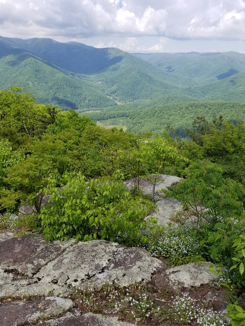 kittykatdoll28 header picture leakfans.com