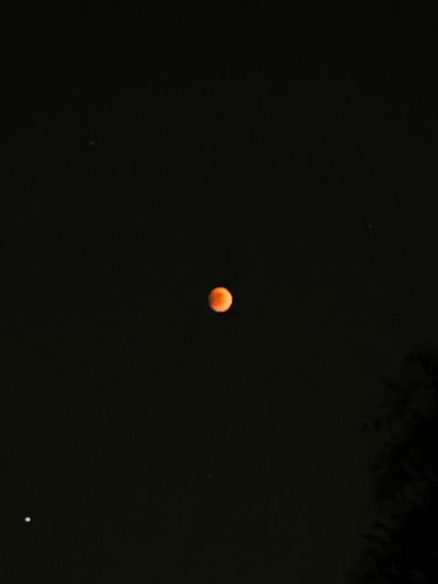 kittylucyy header picture leakfans.com