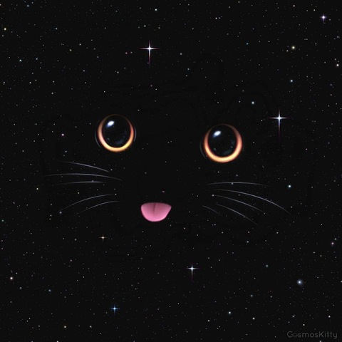 kittyofficial header picture leakfans.com