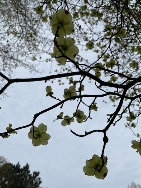 kittyscott1 header picture leakfans.com