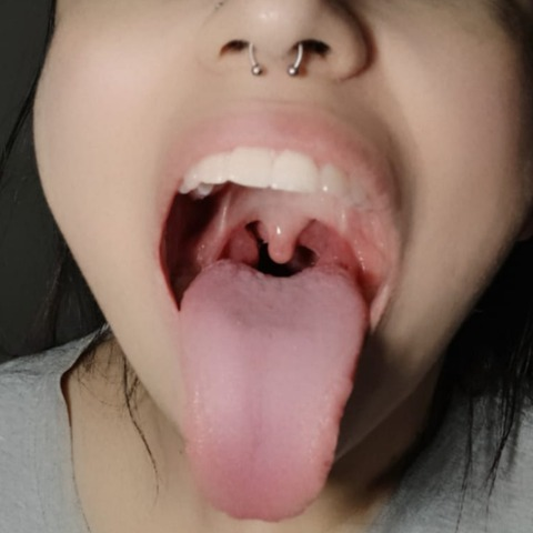 kittytongesss header picture leakfans.com