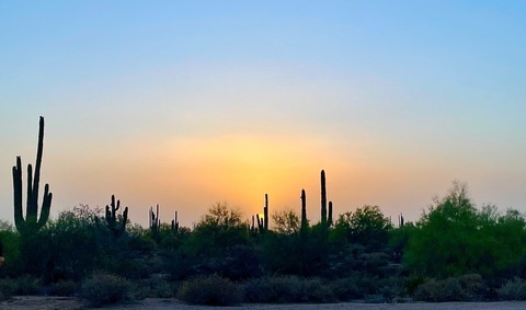 kizzy_pg header picture leakfans.com