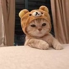 kloux profile picture leakfans.com