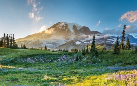 knarleydacto header picture leakfans.com