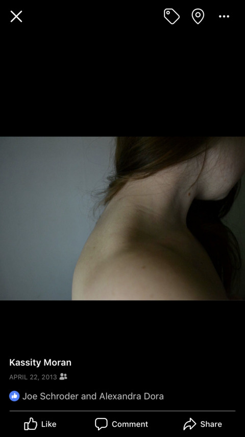 knoelm header picture leakfans.com