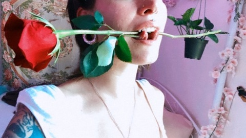 knottypeachdragon header picture leakfans.com