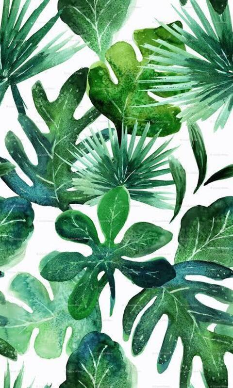 koko_xoxx header picture leakfans.com