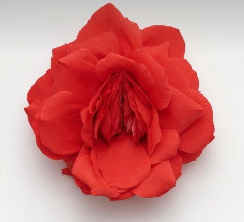 kookoopuff header picture leakfans.com