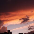 koral profile picture leakfans.com