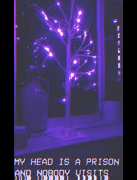 kourtneyxoxo23 header picture leakfans.com