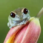 krismewmew profile picture leakfans.com