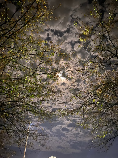 ksawm header picture leakfans.com