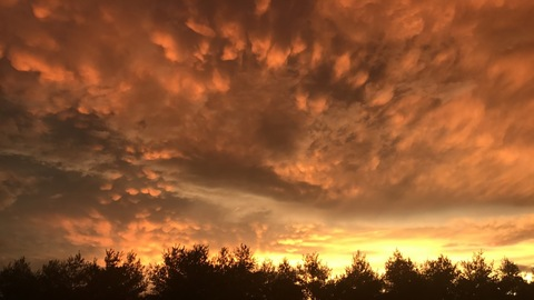 kxnkycxrly header picture leakfans.com