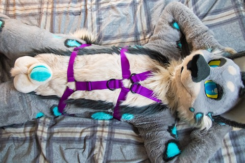 kylomew header picture leakfans.com