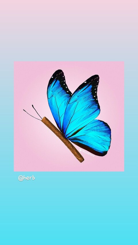 la_vecina header picture leakfans.com