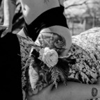 laa_petitemort profile picture leakfans.com