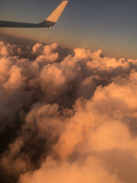 laconejaamalaa header picture leakfans.com