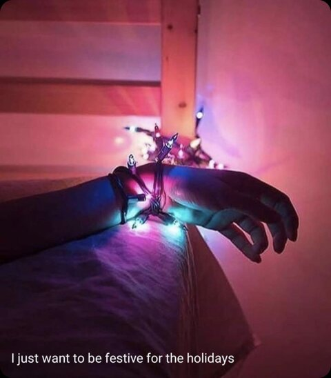 ladiibugz header picture leakfans.com