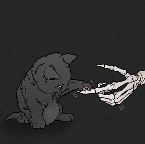 lady-ceridwen header picture leakfans.com