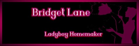 ladyboylane header picture leakfans.com